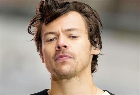 harry styles dick pic|Harry Styles Reveals The Penis Clause He Had In His Film Contract